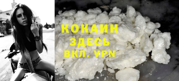 PSILOCYBIN Волосово