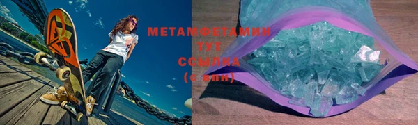 индика Вяземский