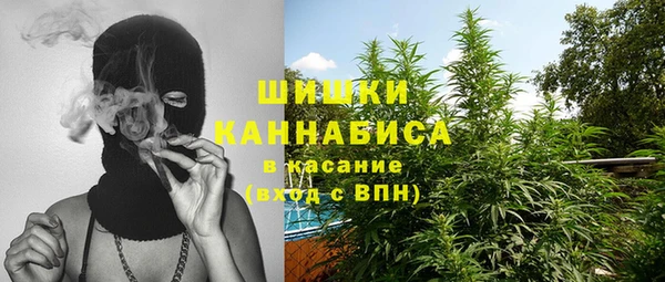 индика Вяземский