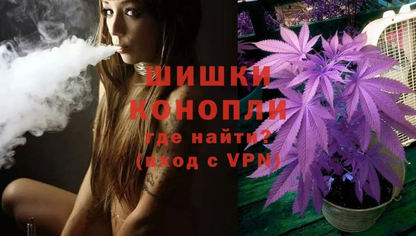 PSILOCYBIN Волосово