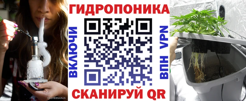 Марихуана OG Kush  Купить закладки  Сосновый Бор 